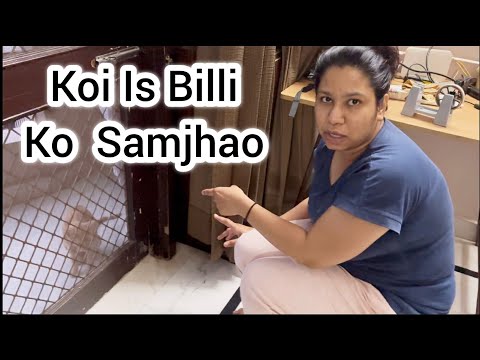 What are you talking about between Surbhi and Billi… 🤣