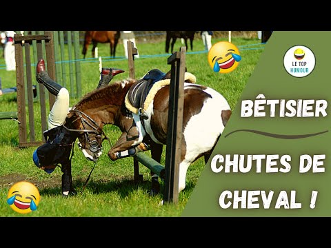 Chute de cheval | essayer de ne pas rire 2020 | vidéo drôle à mourir de rire | fail à cheval