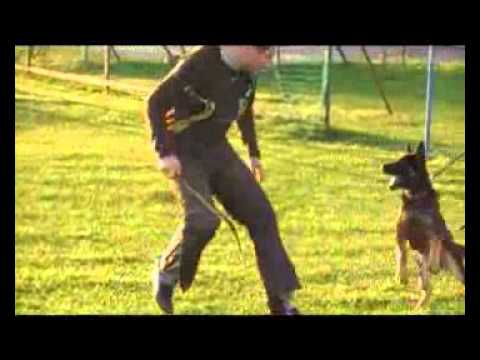 EXTREME OREX AYKMAR - DEFENCE - 4 MONTHS - Ludslavice, h: Polzer David