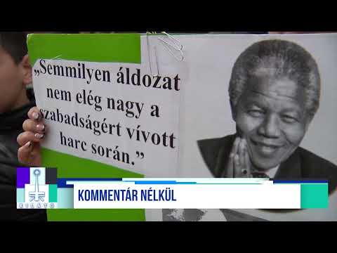 Videó előnézet
