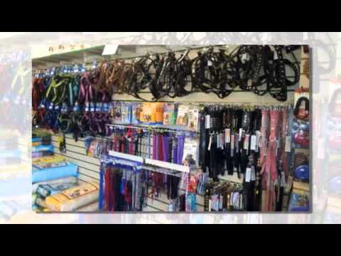 download lagu mp3 mp4 Pet Shop Worthing, download lagu Pet Shop Worthing gratis, unduh video klip Pet Shop Worthing