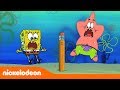 Bob Esponja Lápiz Mágico Nickelodeon En Español