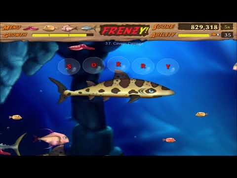 5-8 Cavern Carnage, Feeding Frenzy 2: Shipwreck Showdown