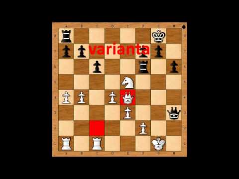 7.2. IM Peter Vavrák - IM Eva Repková, POST MORTEM