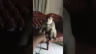 Download lagu Today's theme is 'ISENGIN BASTIAN' mp3