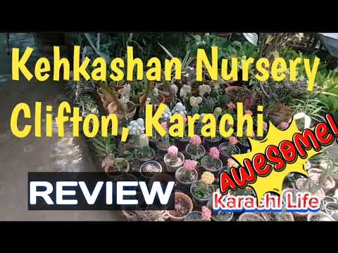 Kehkashan Nursery... REVIEW
