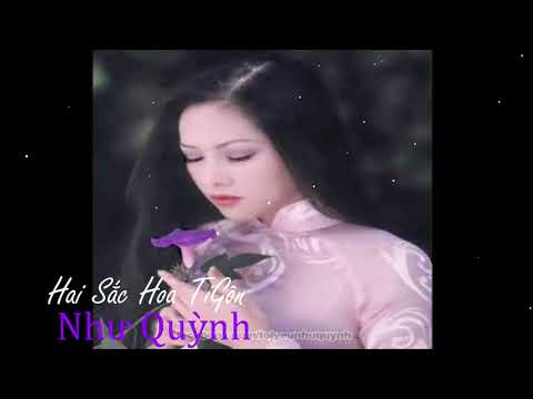 Hai sắc hoa tigôn - Như Quỳnh