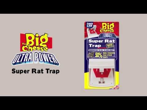 How to get rid of rats - Ultra Power Super Rat Trap (STV108) – from The Big Cheese