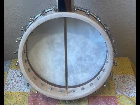 Short Scale Frailing Banjo image 15