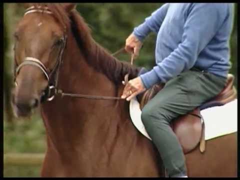 L'incurvation par J.d'Orgeix.avi