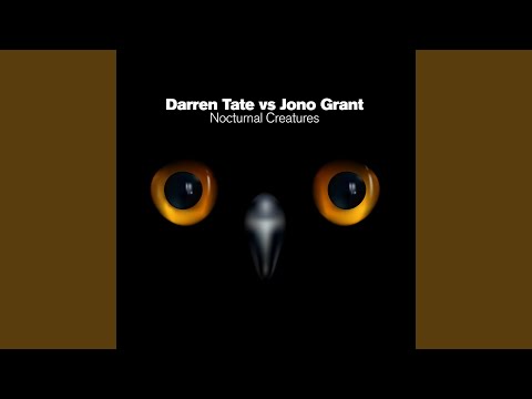 Nocturnal Creatures (Original Mix)