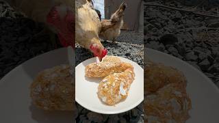 Fried Chicken for Chickens 🐓🍗