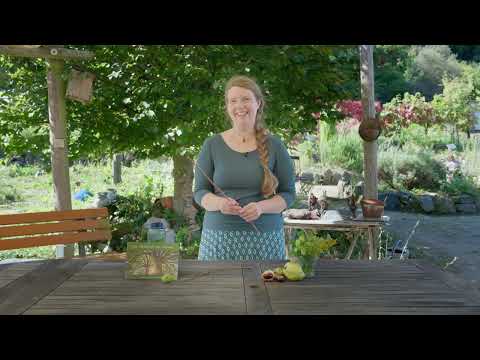 WEIDENRINDE: Natürliches SCHMERZMITTEL selber machen | Mini Kräuterkunde mit Svenja Riedel