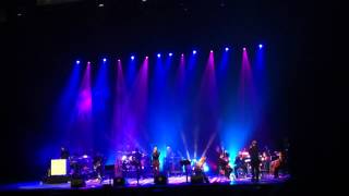 Big Star's Third - Kangaroo (Live @ Primavera 2012)