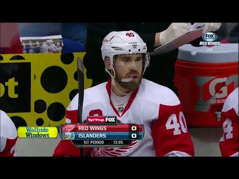 NHL   Nov.29/2013    Detroit Red Wings - New York Islanders