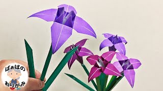 折り紙 菖蒲 あやめ の立体的な折り方 可愛い5月の花 Origami Iris Flower 音声解説あり 子供の日シリーズ 7 ばぁばの折り紙 موقع ويب حيث يمكنك مشاهدة مقاطع فيديو موسيقية مجانية
