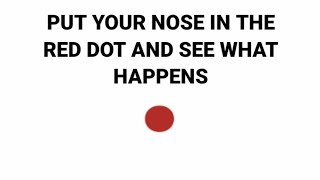 Put your nose on the red dot and see what happens.
