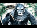 Rise + Dawn of the Planet of the Apes 1+2 (2014) Film Explained in Hindi/Urdu Full Summarized हिन्दी