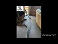 Carpet Cleaning In Brisbane Carpet Cleaning Brisbane Brisbane Carpet Cleaning
