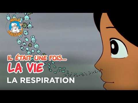 Il était une fois… la Vie 🌱- La respiration 🔬