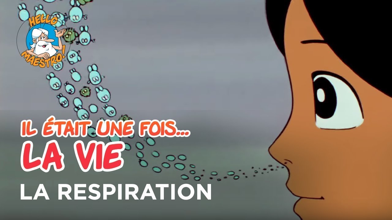 Il était une fois… la Vie 🌱- La respiration 🔬