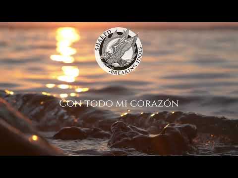 Shema Israel | Live Album VI - Shaked