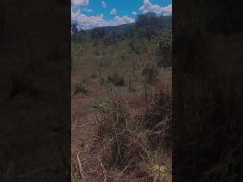 Fazenda em Gameleira de Goiás - GO