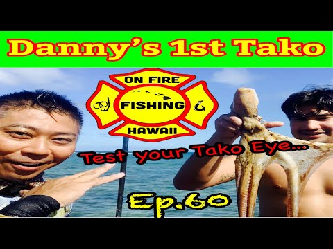 DANNY'S FIRST OCTOPUS TAKO, How to find Tako octopus in Hawaii, Tako Dive Hawaii, Spearfishing, Ep60