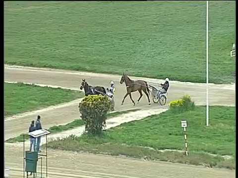 Trotto 02/04/2017 - prova di addestramento partenza nastri