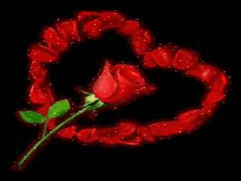 MI DULCE AMOR grupo bryndis