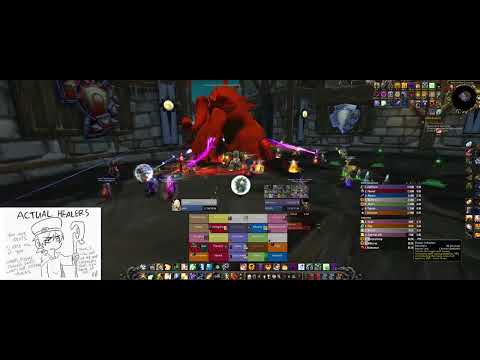 TOGC 25 HC Full Clear 50/50 No wipes + Ony 25 - Disc Priest POV