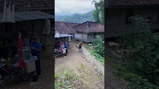 Download lagu suasana di pedesaan cianjur selatan bikin rindu kampung halaman #shots mp3