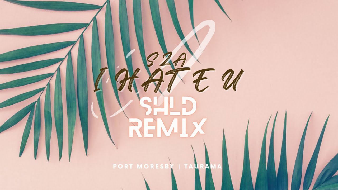 SZA - I hate u (SHLD Reggae Remix)