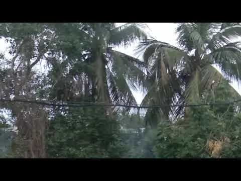 My nature- madhumanti ghosh