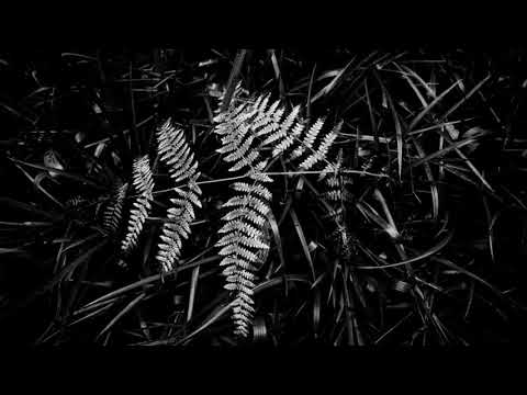 Kimo - ZoDo X | Latest Mix 2020