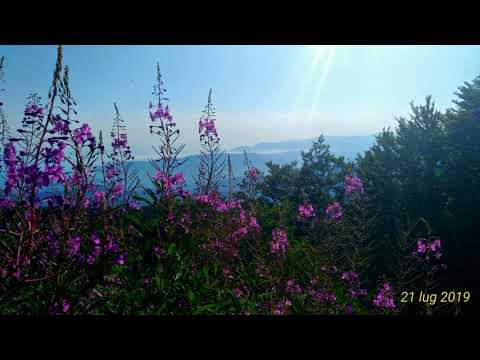 Gita Monte Borla Passi in Montagna