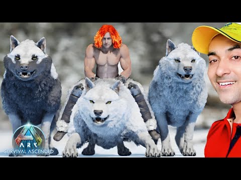 TAMING THE DIREWOLF PACK LEADER WAS MY MISTAKE 😨- ARK SURVIVAL ASCENDED