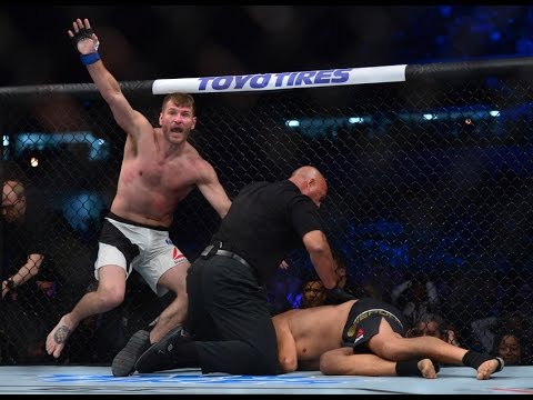 Miocic vs Werdum - Vine