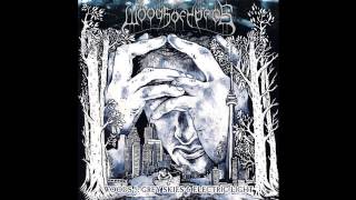 Woods of Ypres - Modern Life Architecture (Official Audio)