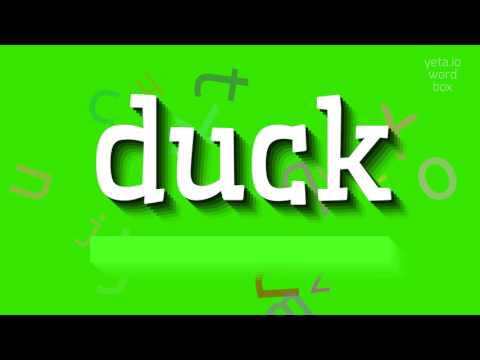 DUCK - HOW TO SAY DUCK? #duck