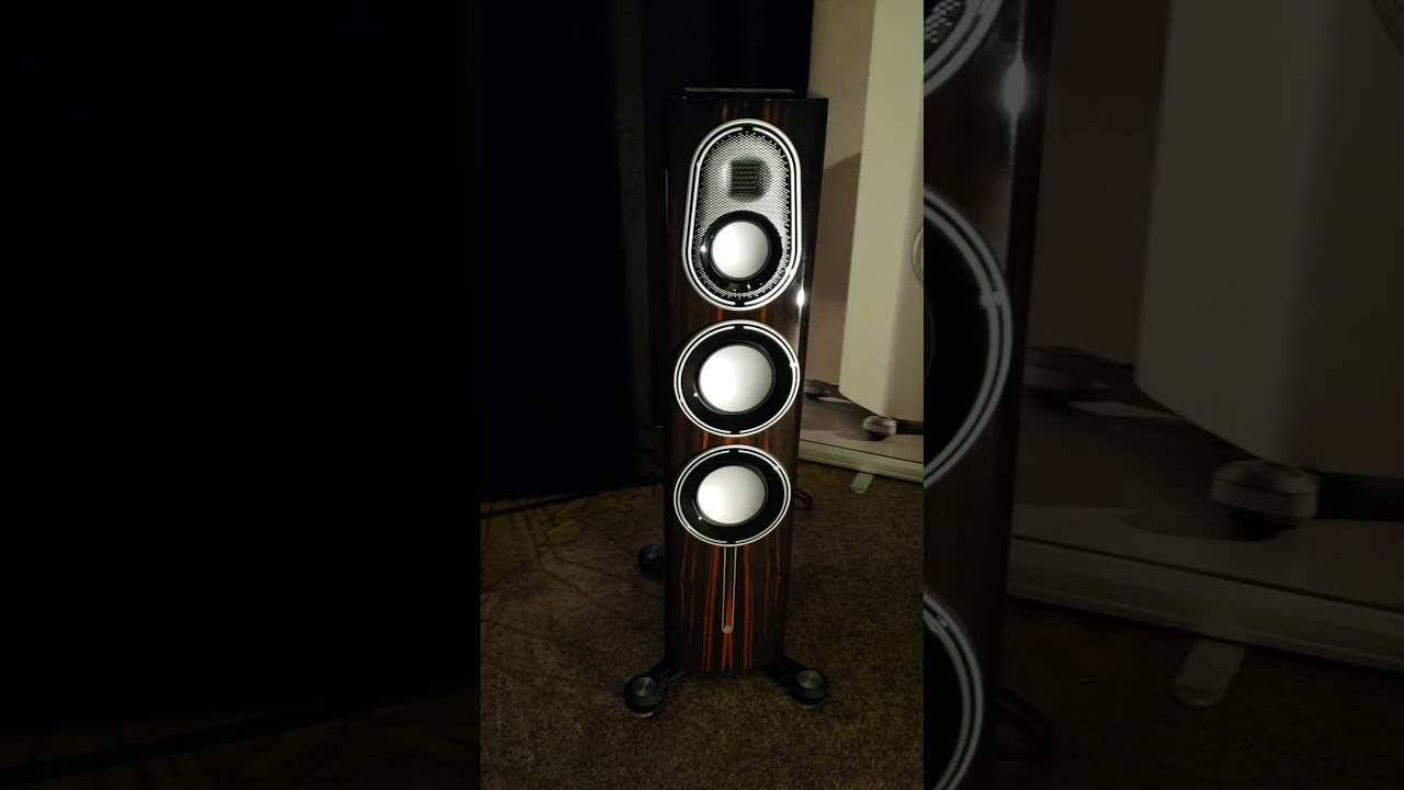 Monitor Audio Platinum 200 3G - Toronto Audiofest 2024