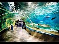 Istanbul Aquarium & Aqua Florya Shopping Mall