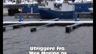 preview picture of video 'Nærøysund fiskerihavn.avi'