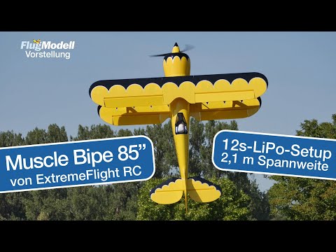Muscle Bipe 85" von ExtremeFlight RC / Lindinger vorgestellt von Peter Erang in FlugModell 3/24