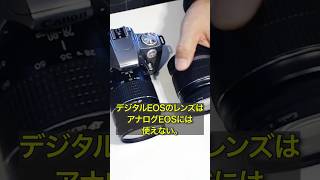 Canon EOS Kiss3 Film Camera #shorts #canon #eos #filmcamera