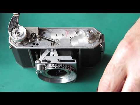 Kodak Retina IIa, the warthog edition, part 04