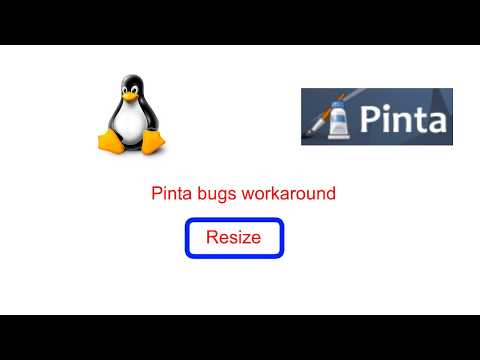 Pinta bugs workaround- Resize.