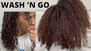 🔥 🔥 TYPE 4 NATURAL HAIR WASH N GO ROUTINE