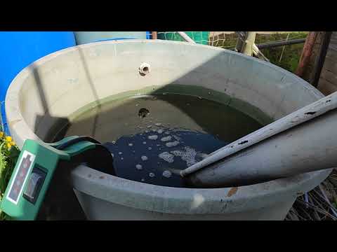 So funktioniert der Wasserkreislauf