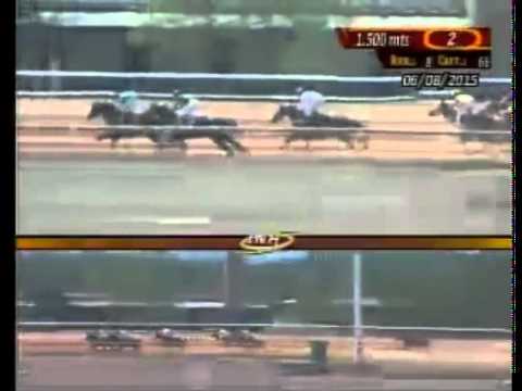 SANTA RITA 2 CARRERA, JUEVES 06 DE AGOSTO DEL 2015